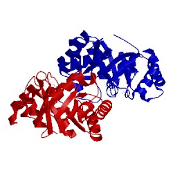 Image of CATH 3ltp