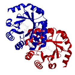 Image of CATH 3lts