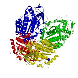 Image of CATH 3lu1