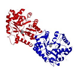Image of CATH 3lu2