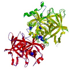 Image of CATH 3lu9