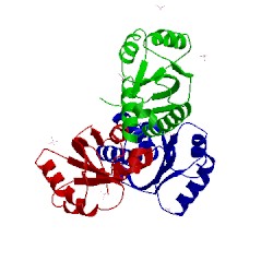 Image of CATH 3luc