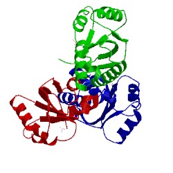Image of CATH 3luh