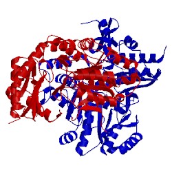 Image of CATH 3lv2