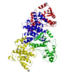 Image of CATH 3lvu