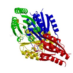 Image of CATH 3lwz
