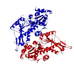 Image of CATH 3lx4