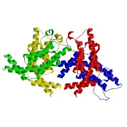 Image of CATH 3lxj