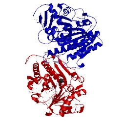 Image of CATH 3lxq