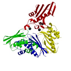 Image of CATH 3lyb