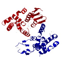 Image of CATH 3lyk