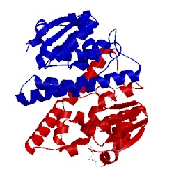 Image of CATH 3lyp