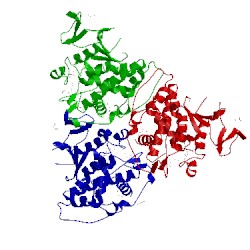 Image of CATH 3m1g