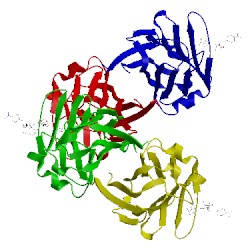 Image of CATH 3m3e