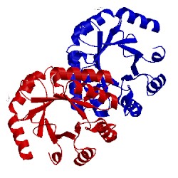 Image of CATH 3m5y