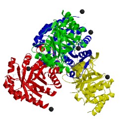 Image of CATH 3m6y