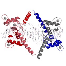 Image of CATH 3m9e