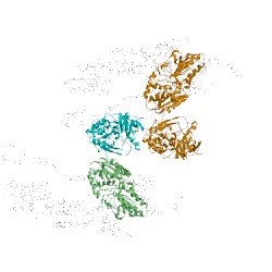 Image of CATH 3m9s