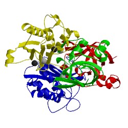 Image of CATH 3ma2