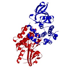 Image of CATH 3ma6