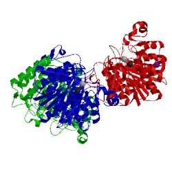 Image of CATH 3max
