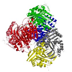 Image of CATH 3mbh