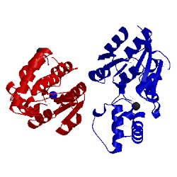 Image of CATH 3mc1