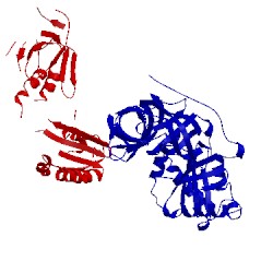 Image of CATH 3mca