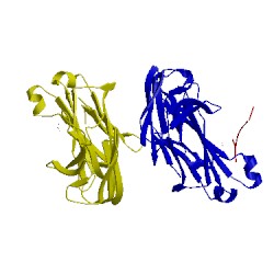 Image of CATH 3mck