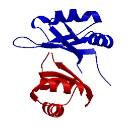 Image of CATH 3mdf