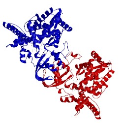 Image of CATH 3mdt