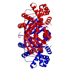 Image of CATH 3mg1