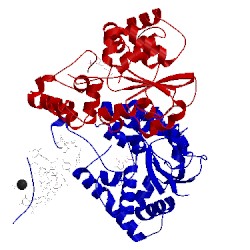 Image of CATH 3mgb