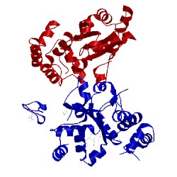 Image of CATH 3mgc