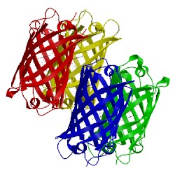 Image of CATH 3mgf
