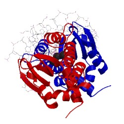 Image of CATH 3mis