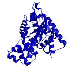 Image of CATH 3mix