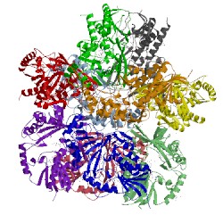 Image of CATH 3mj4