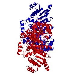 Image of CATH 3mjs