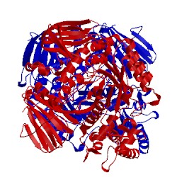 Image of CATH 3mkk