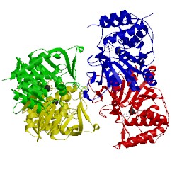 Image of CATH 3mkn