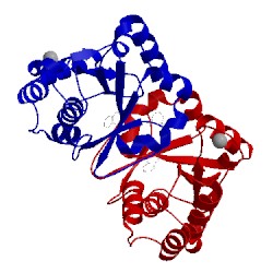 Image of CATH 3mlb