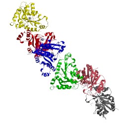Image of CATH 3mle