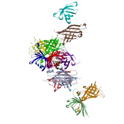 Image of CATH 3mm0