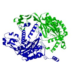 Image of CATH 3mm9