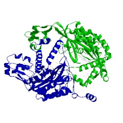 Image of CATH 3mma