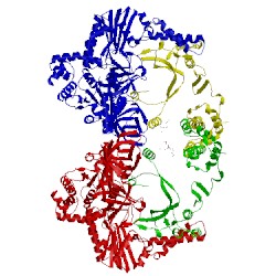 Image of CATH 3mmp