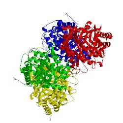 Image of CATH 3mmt