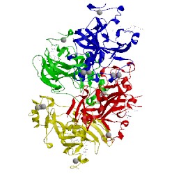 Image of CATH 3mo2