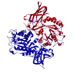 Image of CATH 3mo4